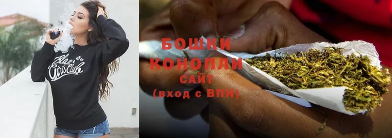 купить наркотики цена  Буйнакск  Бошки Шишки SATIVA & INDICA 